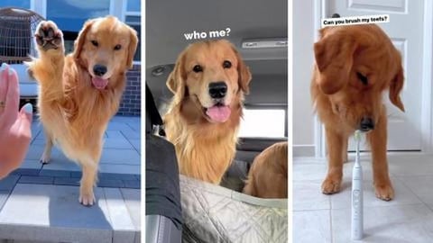 We Went Through a Car Woosher