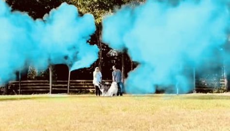 Our Dogs’ Emotional Adoption Story: IT’S A BOY! 