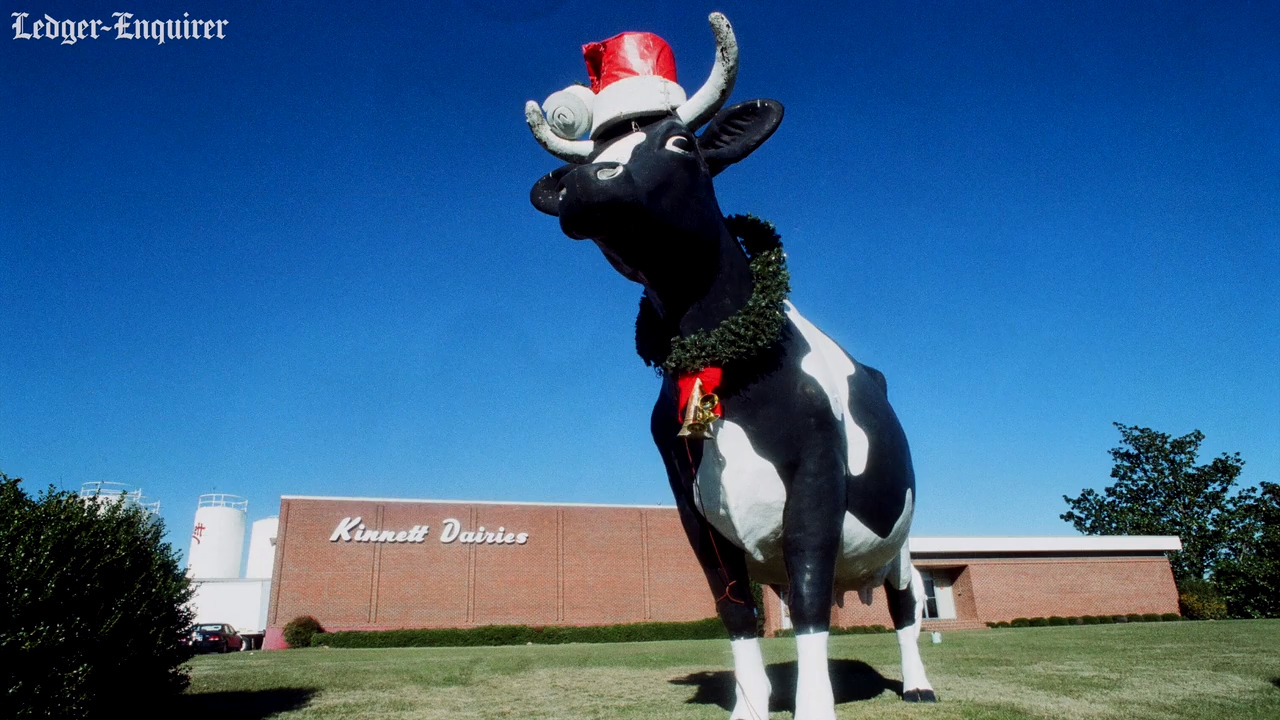 Columbus residents rally behind city’s beloved Kadie the Cow | Columbus ...
