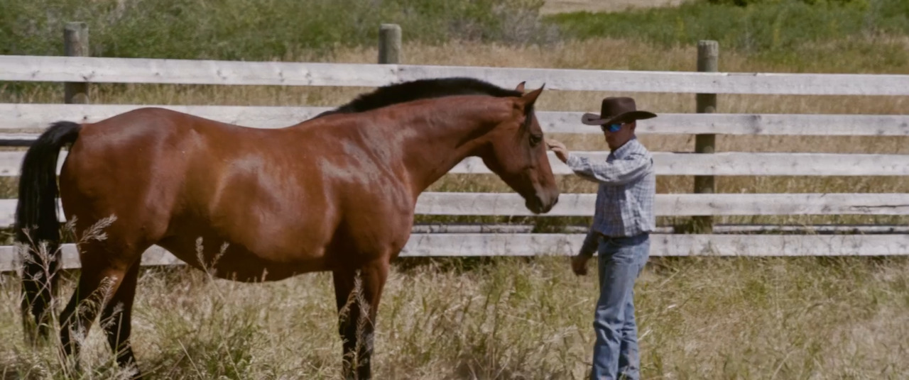 Watch Cowboys Without Borders