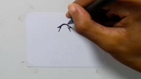 Drawing tatto v186 2025 shorts