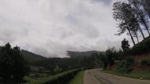 Tea Gardens of Munnar