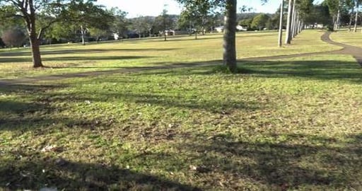 Lovely day for a walk & say hi to Golden Retriever and Hu...