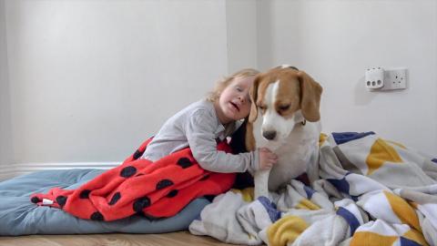 Cute Dogs Loves To Play With Baby Girl 