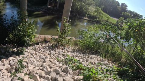 fishing trip 19
