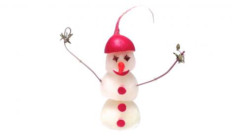 How to Make a Snowman with Radishes / DIY Christmas