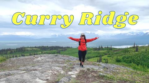 CURRY RIDGE TRAIL in Denali State Park | Hiking in Alaska...