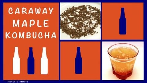 Caraway Maple Kombucha / Healthy, Sparkling & Refreshing ...