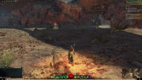 Guild Wars 2 fighting!