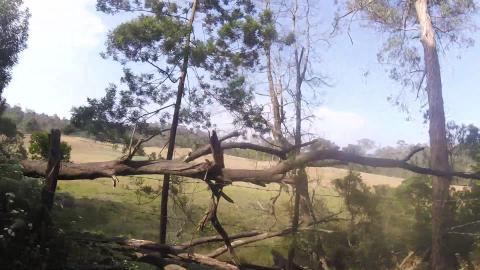 Passing By Kodaikanal Golf Course | Tamil Nadu