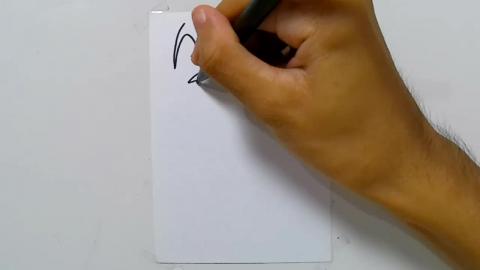 Drawing tatto v24 2024
