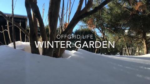 Offgrid Life Winter Garden Day 1 planting seeds