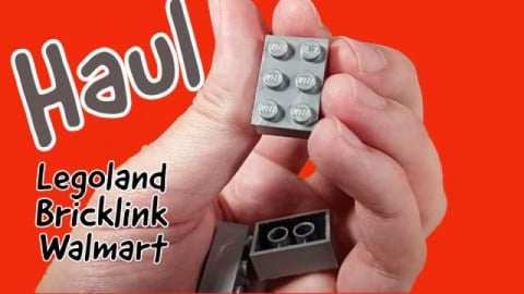 Bizarre Haul from Legoland and Walmart and Bricklink