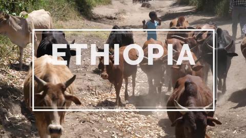 Highlights of Ethiopia - One Month of Travel