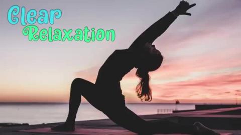 THE YOGA VIDEOS 2026
