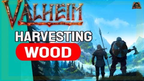 Valheim Wood and Chopping down Trees | New Player Guide