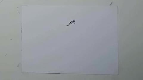 Drawing Graffity Character leon beer shorts