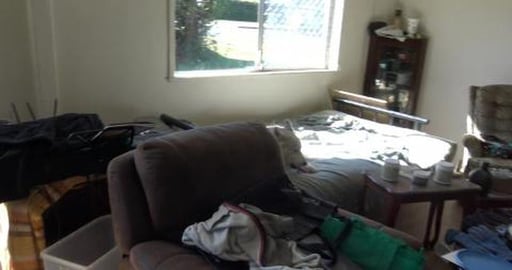 Happy families with my pack