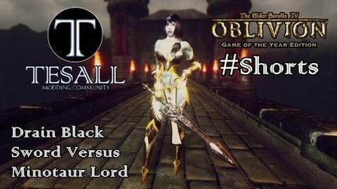 Drain Black Sword Versus Minotaur Lord - TES IV: Oblivion...