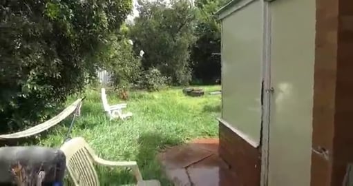 Lovely sunny day for a long walk