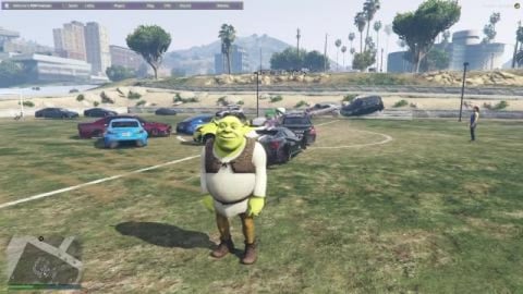 SHREK IN GTA 5 WHAT