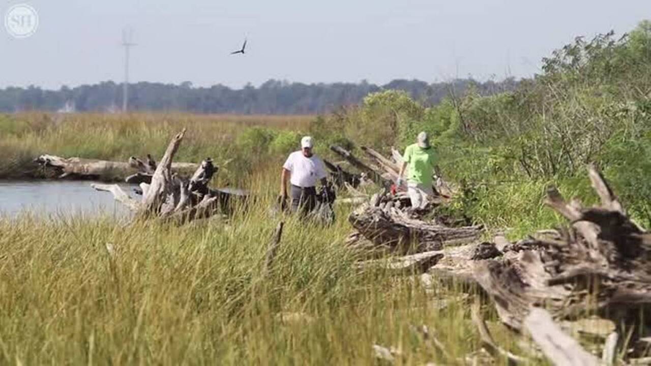 Was hunting land near MS Coast clear cut by state department