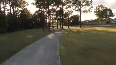 Dogs everywhere. Say hi to Zack the black puppy lab.