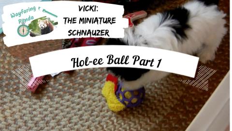 Hol-ee Ball with Crinkle Toy