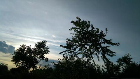 Wind...