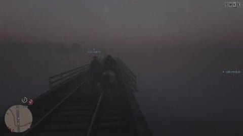What the Hell.... in Red Dead Online