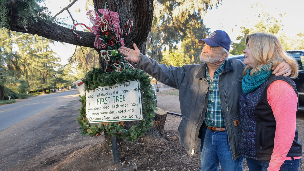 Christmas Tree Lane in Fresno opens, work to save first tree