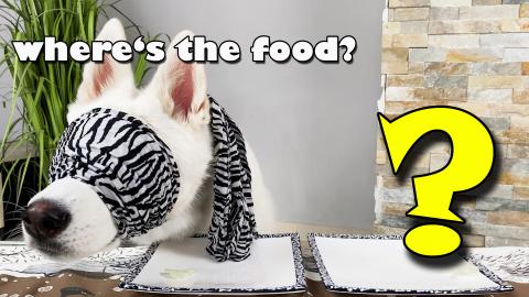 Blindfolded Food Test