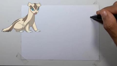 Drawing Pokemon LINOONE