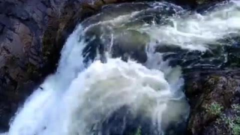 Relaxing Film Nature Sunset- Calming