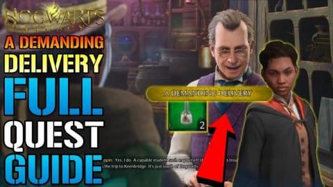 Hogwarts Legacy: "A Demanding Delivery" Full Quest GUIDE!...