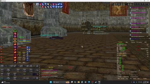 Everquest : A Cloister Sentinel