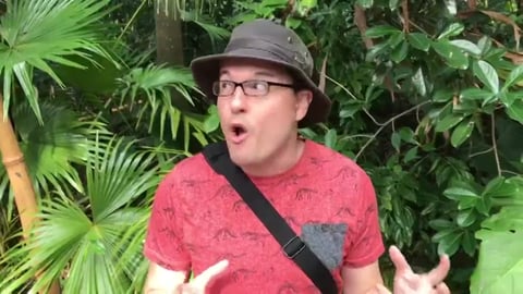 Animal Kingdom Safari Adventure!