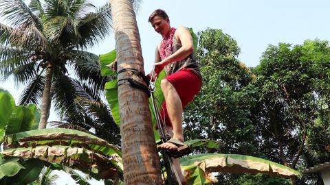 STUCK CLIMBING A COCONUT TREE - Kerala Vlog