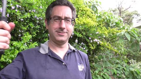 It's raining again and Beautiful husky on car