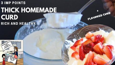 Thick Homemade Curd & Flavored Curd - Rich & Healthy (No ...