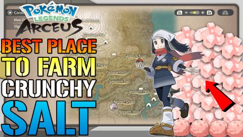Pokémon Legends: Arceus CRUNCHY SALT! The BEST Place To ...