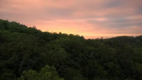 Beautiful World _ Calm Nature Video _ High quality Video ...