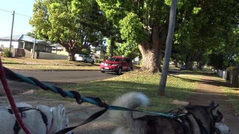 Visiting Husky Mack after dropping car in for service