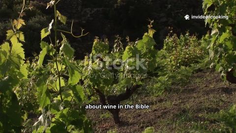 Decoding the Symbolism of Biblical Wine: Cooking with Kim...