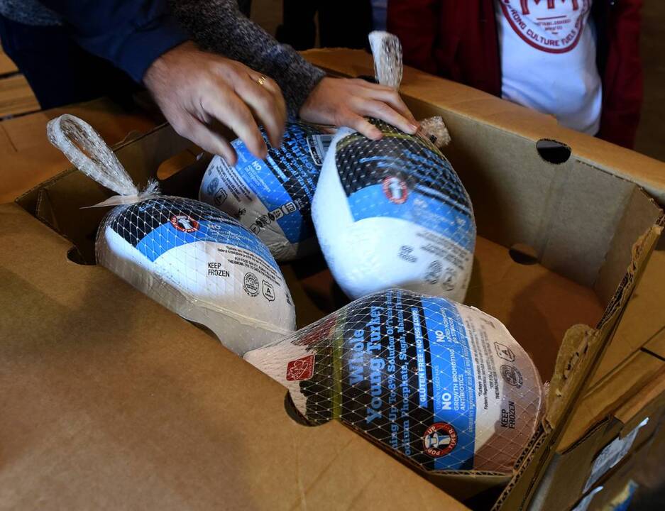 loaves & fishes, loaves and fishes, volunteer, volunteers, thanksgiving