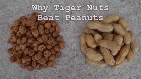Why Do Tiger Nuts Beat Peanuts?: Culinary Questions with ...