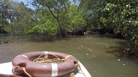 Are We Sailing Through Amazon | Poovar Backwaters | Keral...