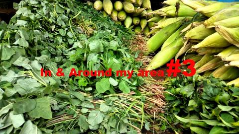 In & around our area #3 - one minute video