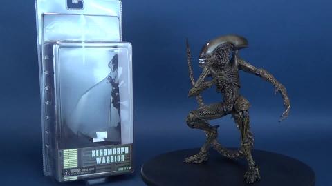 NECA Toys Alien Resurrection Xenomorph Warrior Figure