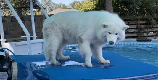 Can You Guess Who They’re Named After 